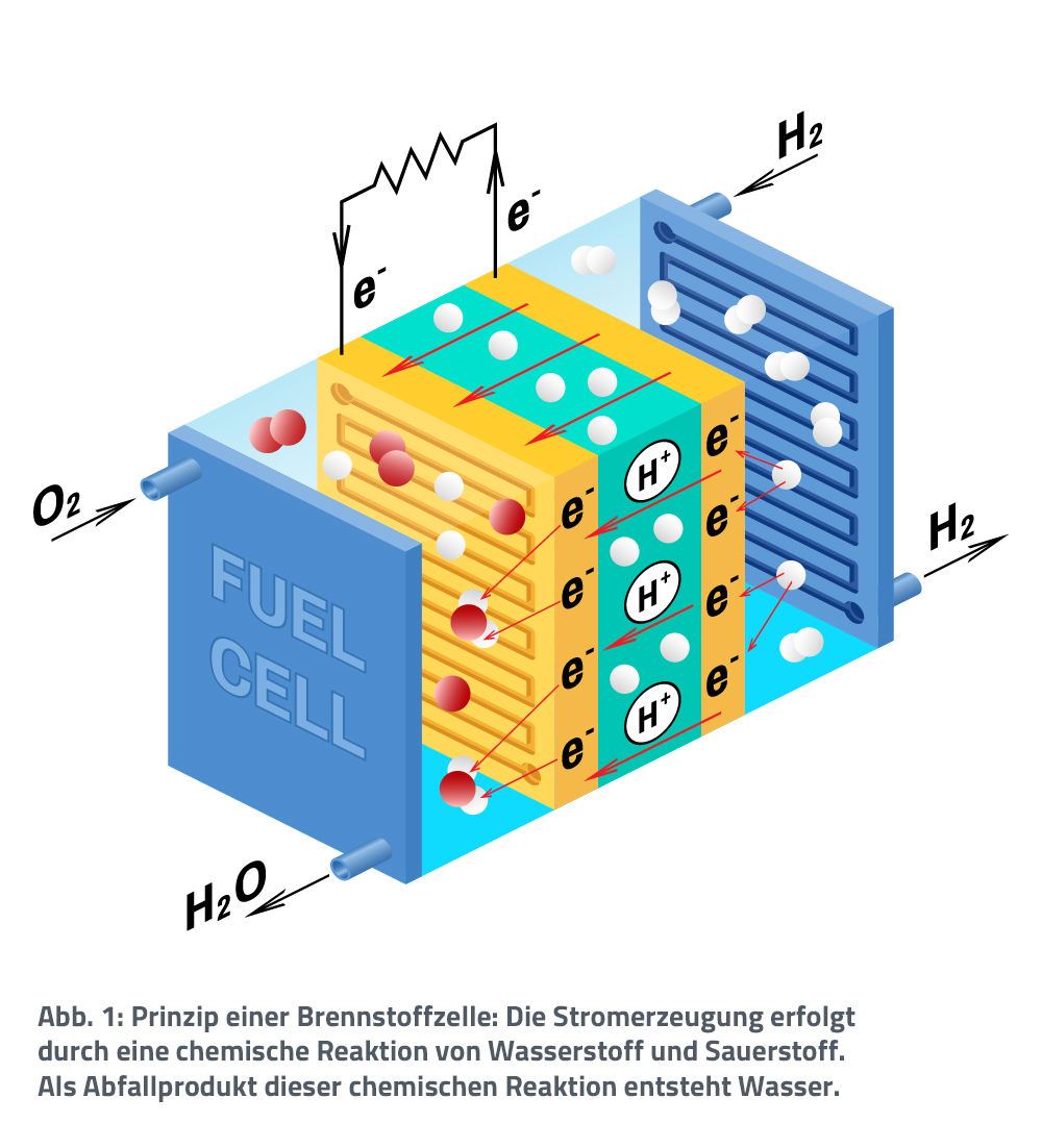 Wie funktioniert eine Brennstoffzelle? Welche Besonderheit hat eine Brennstoffzelle?